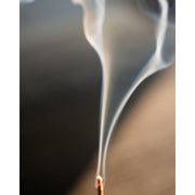 Juniper Ridge Sweetgrass Campfire Incense (20 Sticks) 3-Pack Incense