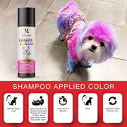Warren London Canine Color Semi Perm Coat Color Shampoo for Dogs Spa Product