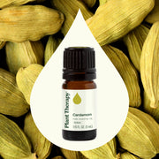 Plant Therapy Cardamom Essential Oil Essential Oil
