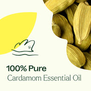 Plant Therapy Cardamom Essential Oil Essential Oil