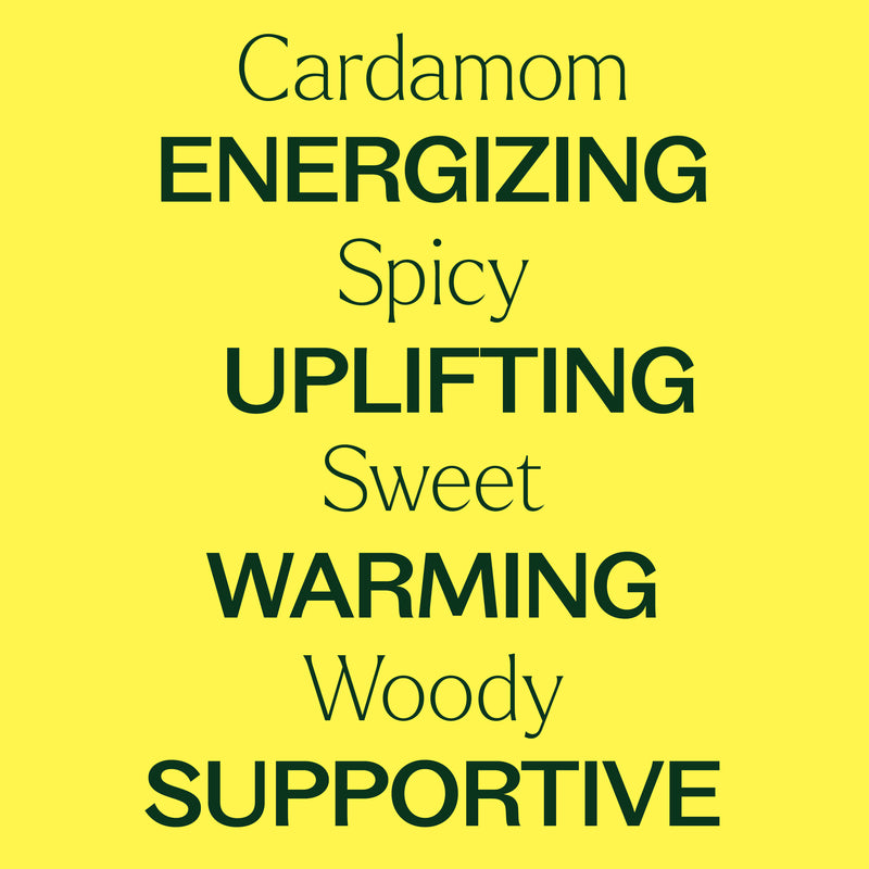 Plant Therapy Cardamom Essential Oil Essential Oil