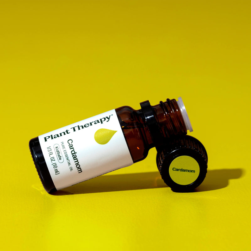 Plant Therapy Cardamom Essential Oil Essential Oil