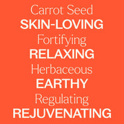 Plant Therapy Carrot Seed Essential Oil Essential Oil