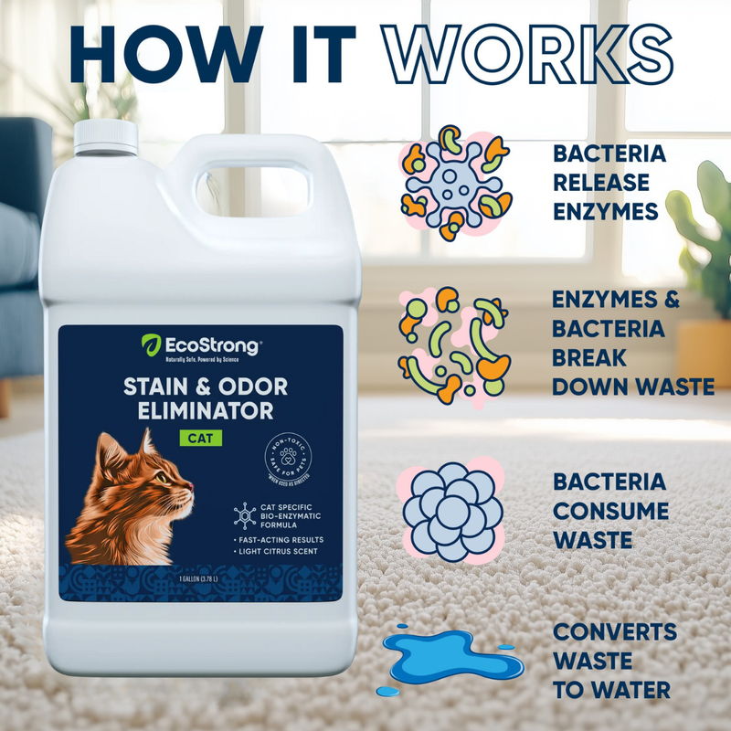 EcoStrong Cat Stain and Odor Eliminator Pet & Animal > Cat Stain & Odor