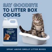 EcoStrong Cat Stain and Odor Eliminator Pet & Animal > Cat Stain & Odor