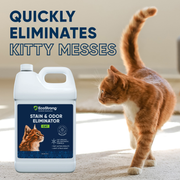 EcoStrong Cat Stain and Odor Eliminator Pet & Animal > Cat Stain & Odor