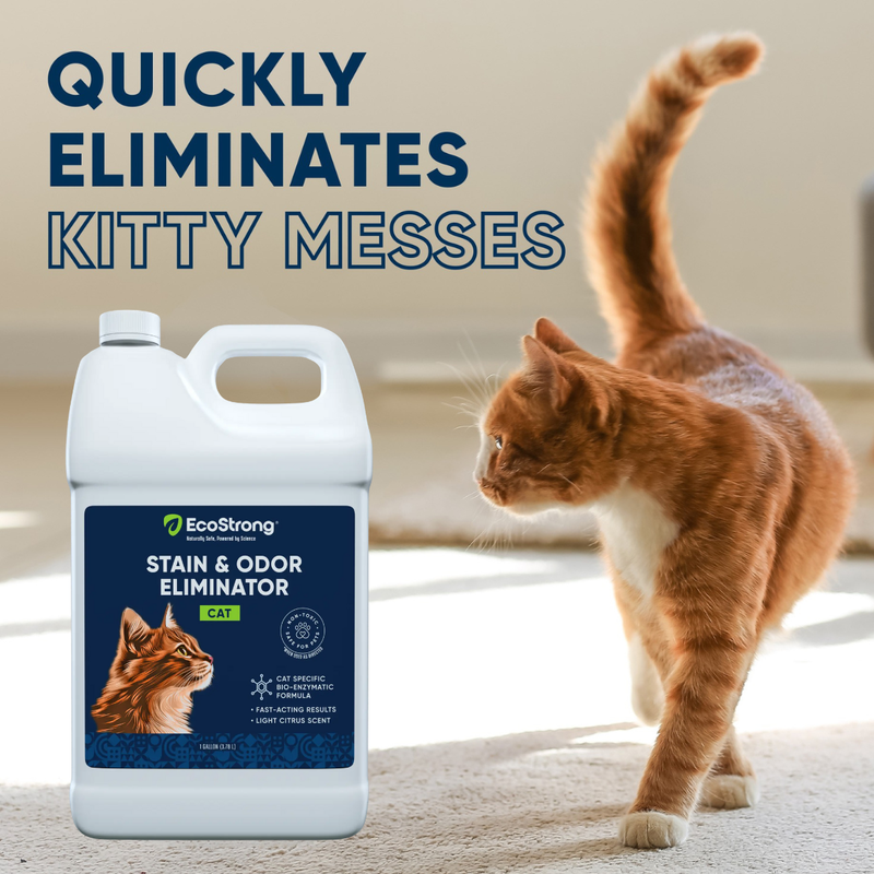 EcoStrong Cat Stain and Odor Eliminator Pet & Animal > Cat Stain & Odor