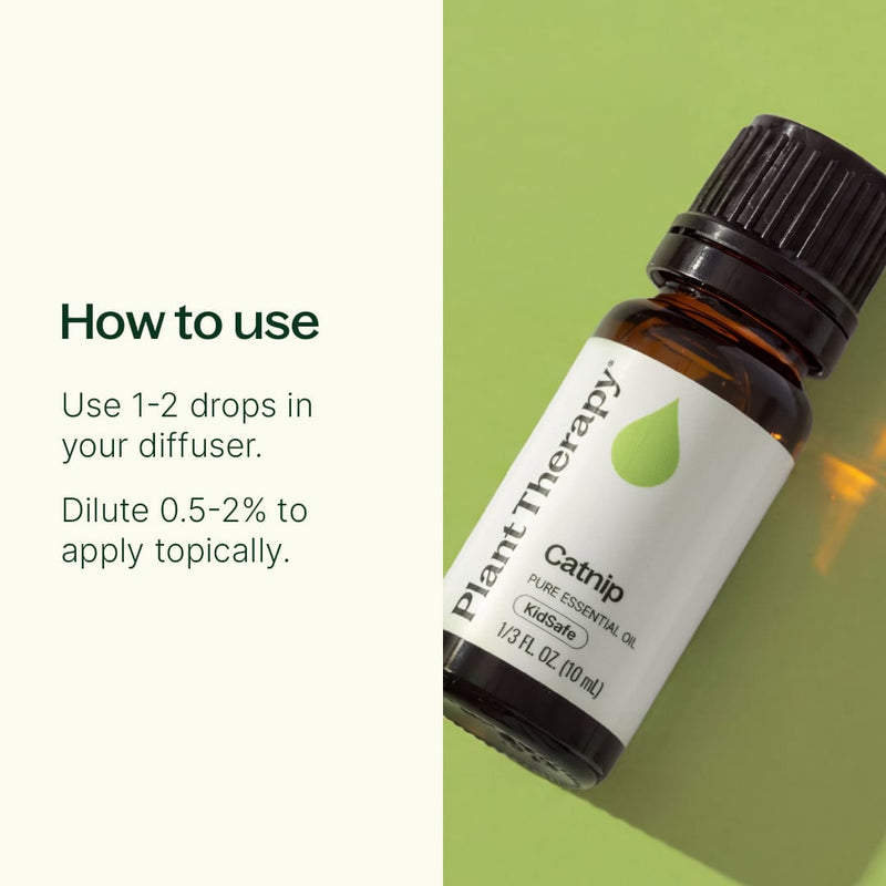 Plant Therapy Catnip Essential Oil Essential Oil Seashell 10 mL