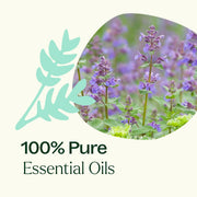 Plant Therapy Catnip Essential Oil Essential Oil Seashell 10 mL