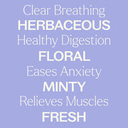 Plant Therapy Catnip Essential Oil Essential Oil Light Steel Blue 10 mL