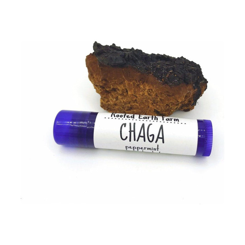 Rooted Earth Farm + Apothecary Chaga Lip Balm Lip Balms + Tints