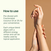 Plant Therapy Chakra Blends Essential Oil Roll-On Set Essential Oil