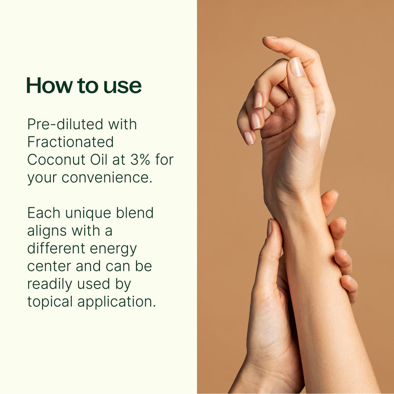 Plant Therapy Chakra Blends Essential Oil Roll-On Set Essential Oil