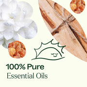 Plant Therapy Chakra Blends Essential Oil Roll-On Set Essential Oil