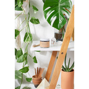 Butter Me Up Organics Organic Activated Charcoal Toothpaste / Whitening Toothpaste / Organic Toothpaste / Black Toothpaste / Charcoal Toothpaste / Tooth Paste Teeth