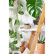 Butter Me Up Organics Organic Activated Charcoal Toothpaste / Whitening Toothpaste / Organic Toothpaste / Black Toothpaste / Charcoal Toothpaste / Tooth Paste Teeth