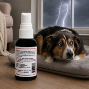 Warren London Essential Oil Dog Calming Spray Spa Product Black