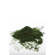 Sun Potion Chlorella Powder (Sound Processed) Adaptogen Light Gray 111g Jar