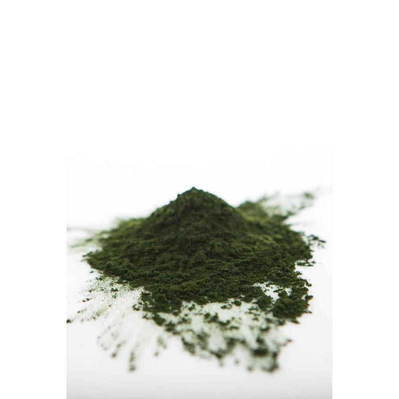 Sun Potion Chlorella Powder (Sound Processed) Adaptogen Light Gray 111g Jar