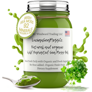MG Windward Trading LLC Cilantro Infused Organic Sea Moss Gel Herbal Gel