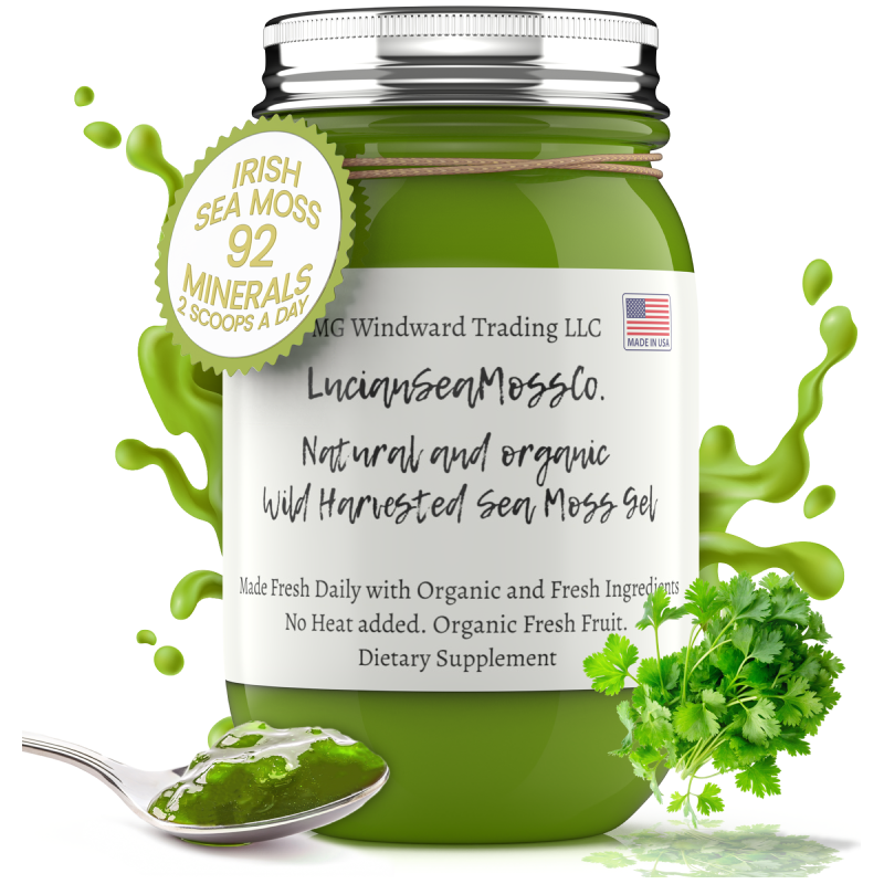 MG Windward Trading LLC Cilantro Infused Organic Sea Moss Gel Herbal Gel