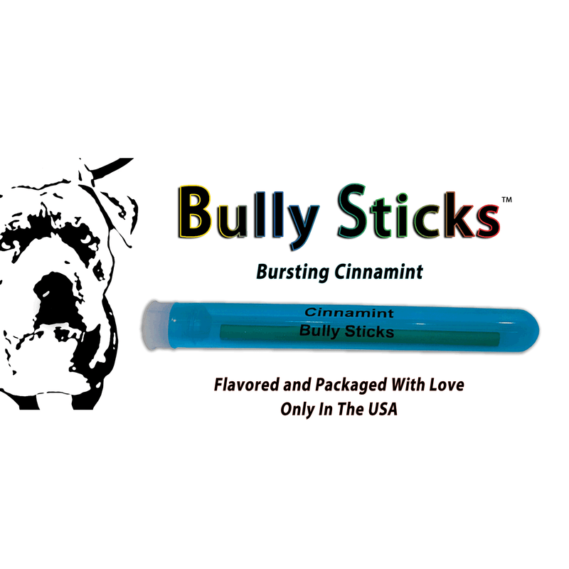 BiteMyWood Bully Stick 4" - Revolutionary All Natural Birchwood Flavored Human Chewing Sticks | BiteMyWood Toothpicks