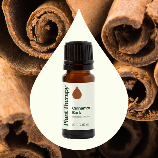 Plant Therapy Cinnamon Bark Essential Oil Essential Oil