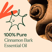 Plant Therapy Cinnamon Bark Essential Oil Essential Oil