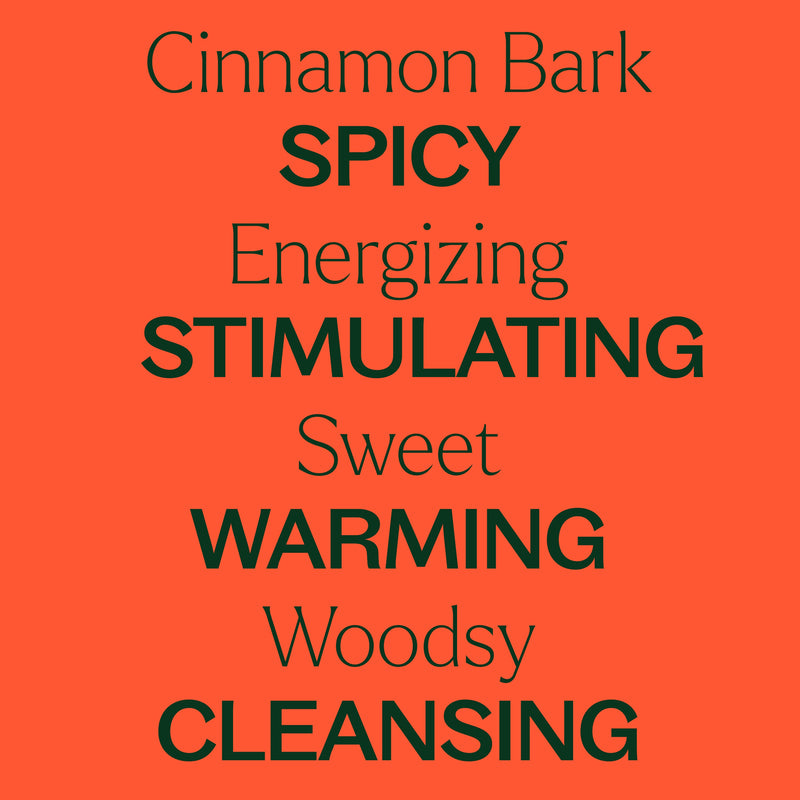 Plant Therapy Cinnamon Bark Essential Oil Essential Oil