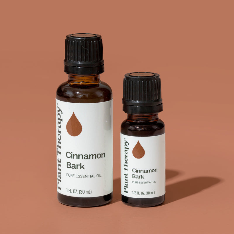 Plant Therapy Cinnamon Bark Essential Oil Essential Oil