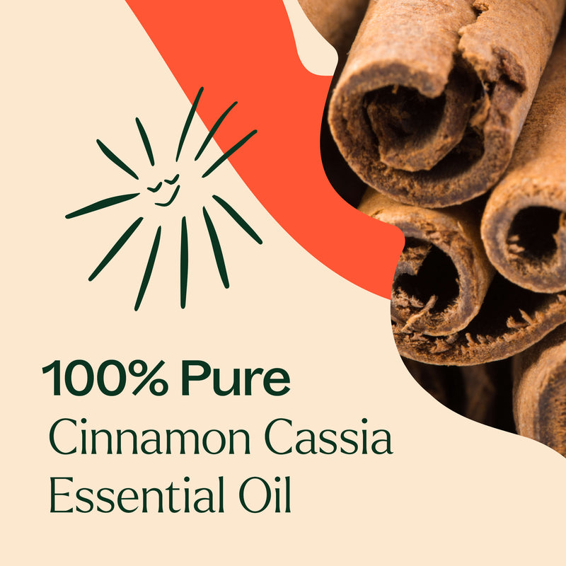 Plant Therapy Cinnamon Cassia Essential Oil Essential Oil