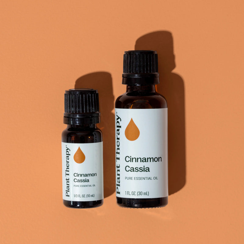 Plant Therapy Cinnamon Cassia Essential Oil Essential Oil