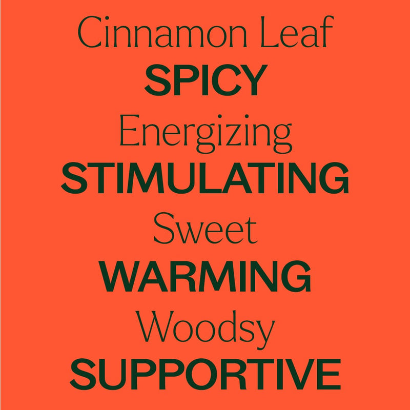 Plant Therapy Cinnamon Leaf Essential Oil Essential Oil
