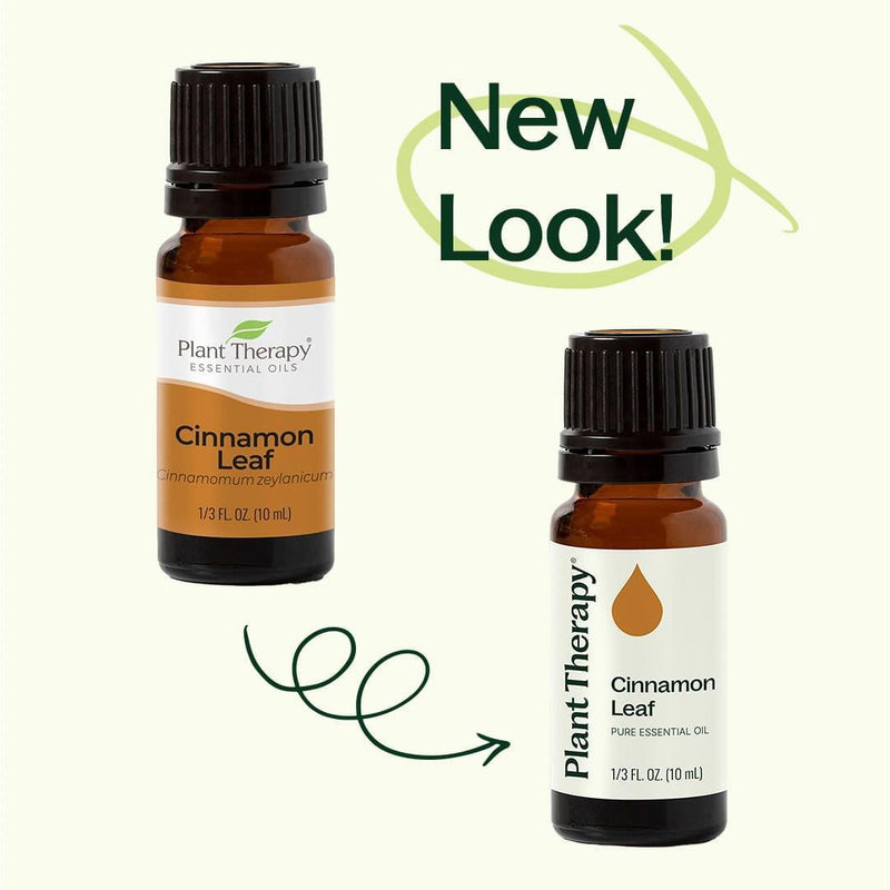 Plant Therapy Cinnamon Leaf Essential Oil Essential Oil