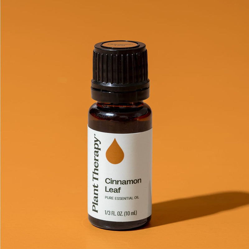 Plant Therapy Cinnamon Leaf Essential Oil Essential Oil