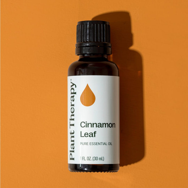 Plant Therapy Cinnamon Leaf Essential Oil Essential Oil