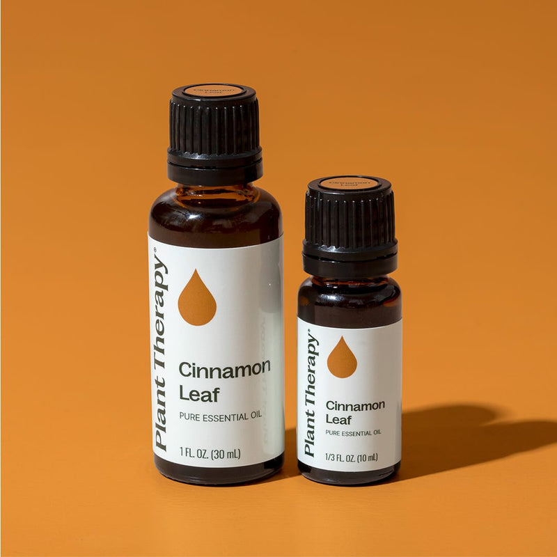 Plant Therapy Cinnamon Leaf Essential Oil Essential Oil