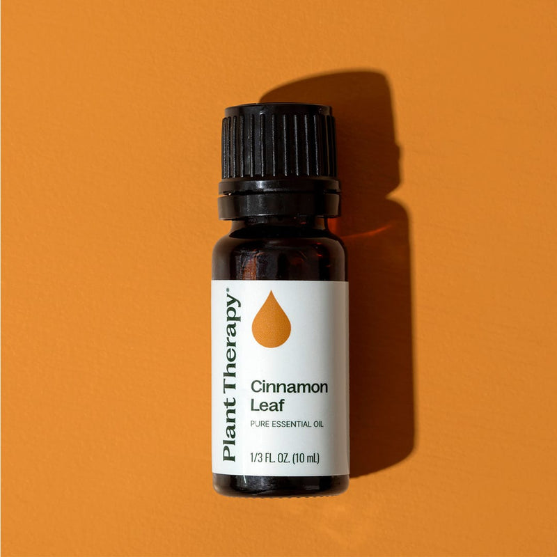 Plant Therapy Cinnamon Leaf Essential Oil Essential Oil