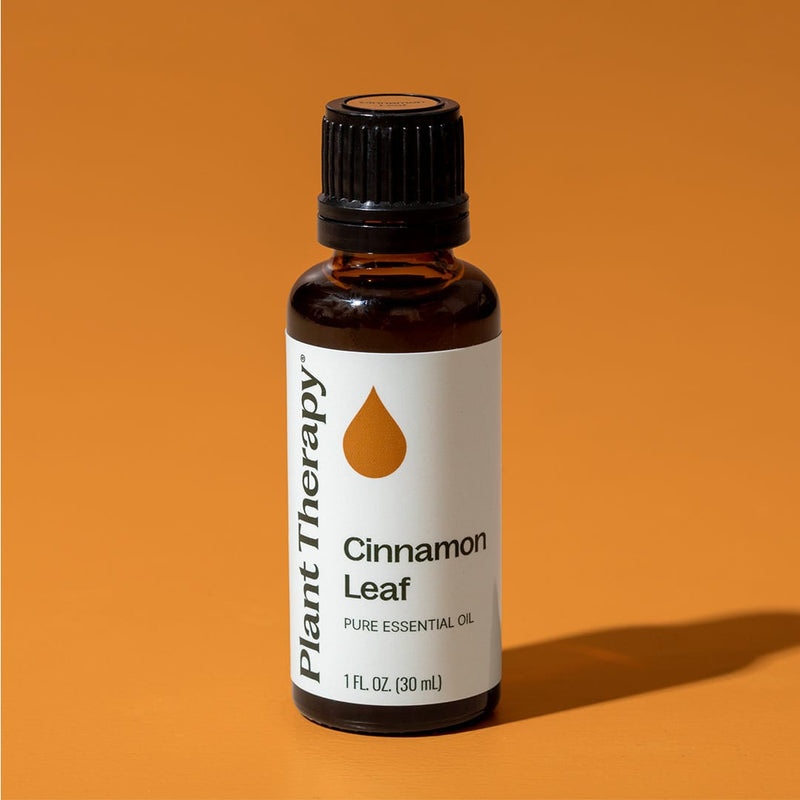 Plant Therapy Cinnamon Leaf Essential Oil Essential Oil