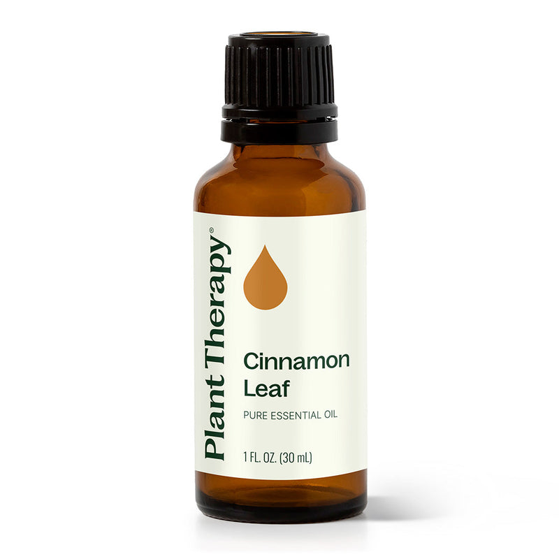 Plant Therapy Cinnamon Leaf Essential Oil Essential Oil