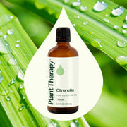 Plant Therapy Citronella Essential Oil Essential Oil