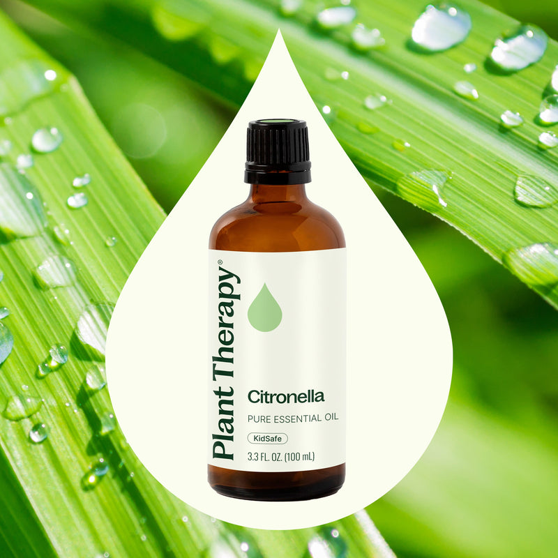 Plant Therapy Citronella Essential Oil Essential Oil
