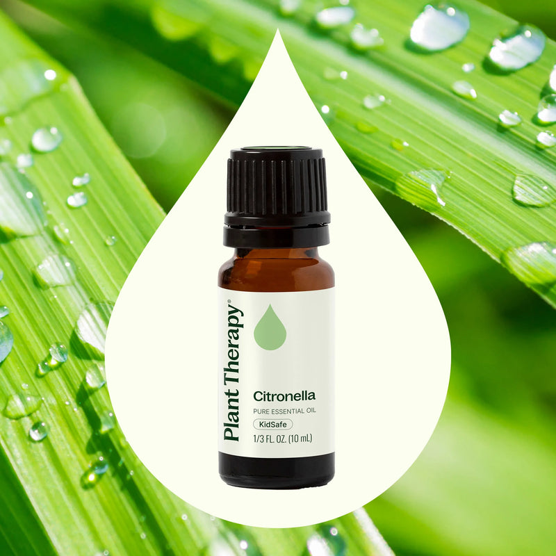 Plant Therapy Citronella Essential Oil Essential Oil Seashell 10 mL