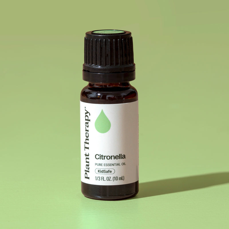 Plant Therapy Citronella Essential Oil Essential Oil Dark Khaki 10 mL
