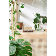 Butter Me Up Organics Sweet Citrus with Calendula Soap, Gifts