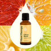 Plant Therapy Citrus Burst Essential Oil Blend Essential Oil