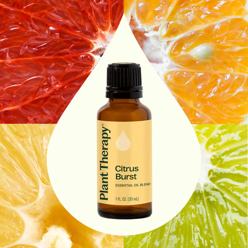 Plant Therapy Citrus Burst Essential Oil Blend Essential Oil