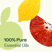 Plant Therapy Citrus Burst Essential Oil Blend Essential Oil