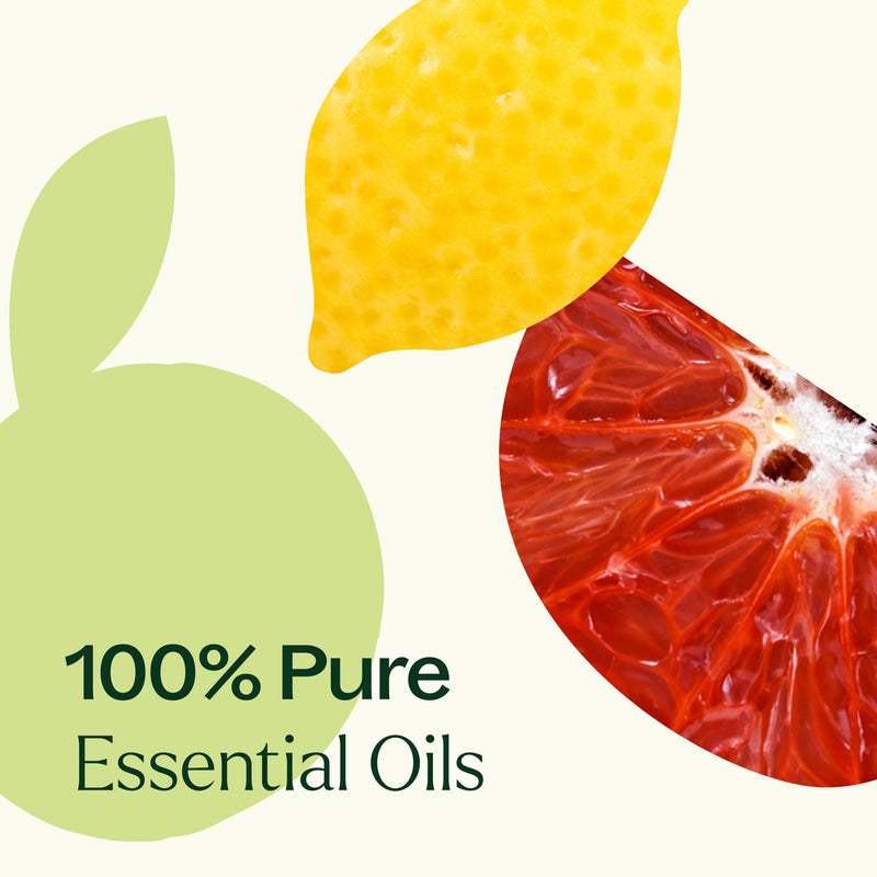 Plant Therapy Citrus Burst Essential Oil Blend Essential Oil