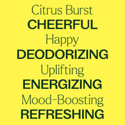 Plant Therapy Citrus Burst Essential Oil Blend Essential Oil
